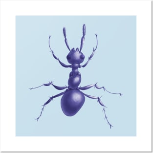 Purple Ant Posters and Art